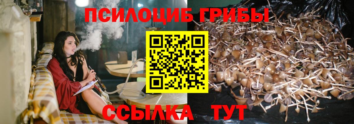 Галлюциногенные грибы MAGIC MUSHROOMS Кропоткин